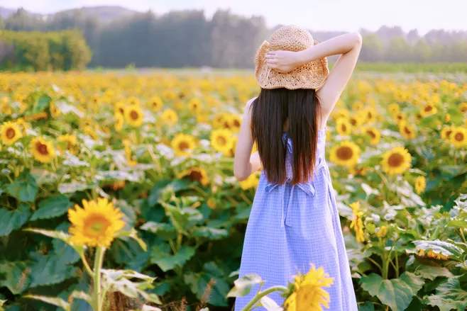 夏日?qǐng)D賞：初夏若雨等花開(kāi)